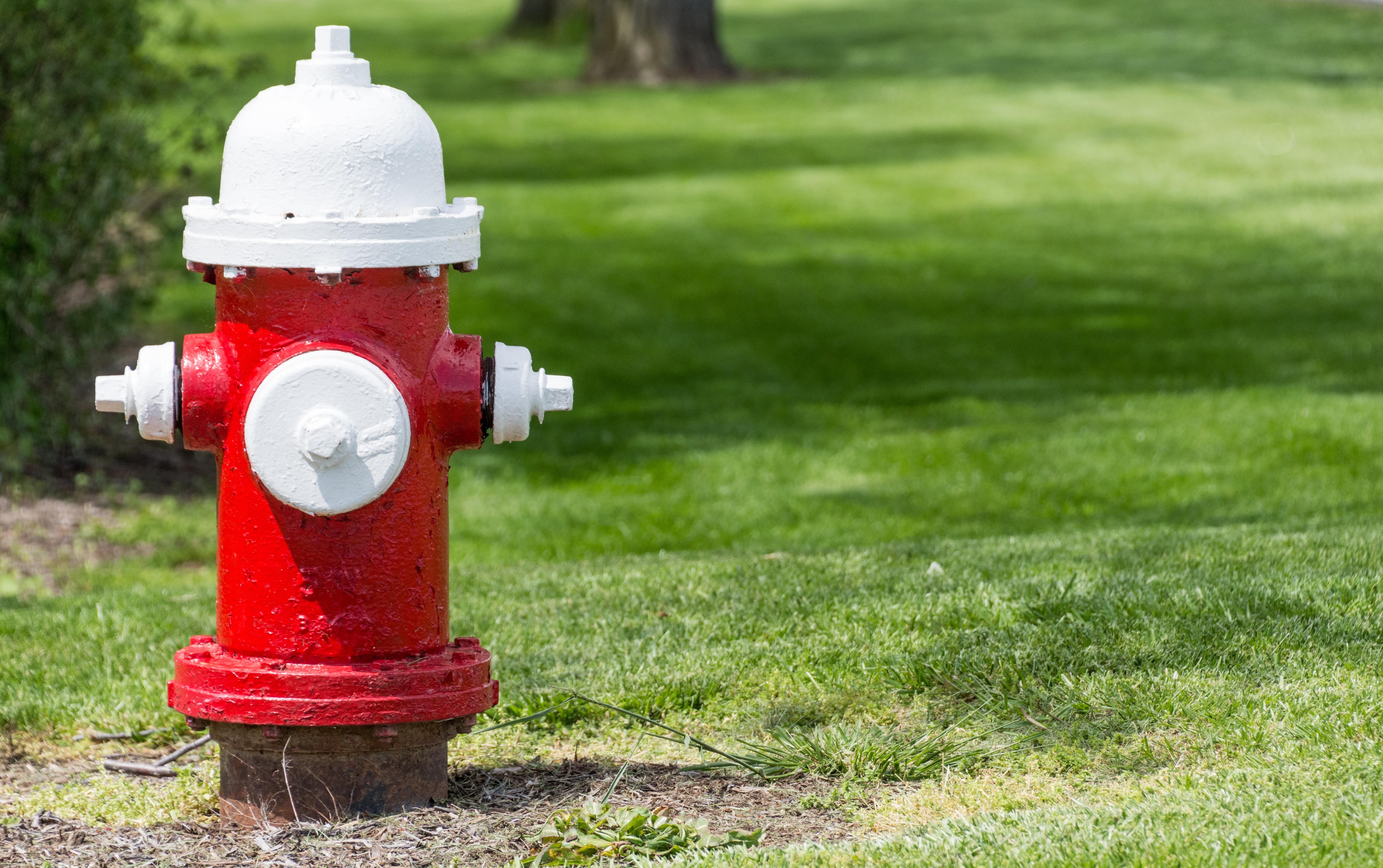 Red and White Fire Hydrant